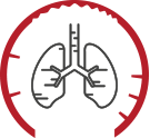 Rippfell und Lungenultraschall (Pleurasono)